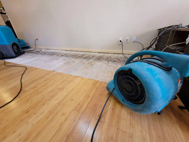 Professional Sewage Cleanup technician working in Intercourse, PA